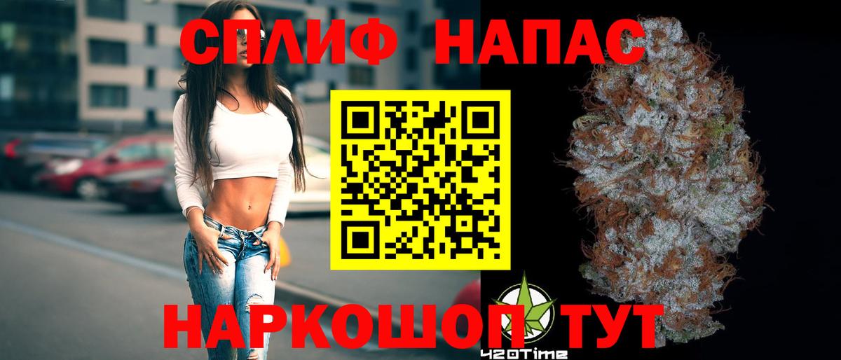 Канабис сатива Кострома